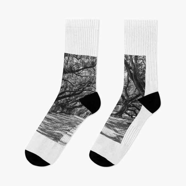 Item preview, Black and White Timelessness of Oak Alley and what Louisiana.  designed and sold by biscuitduff.
