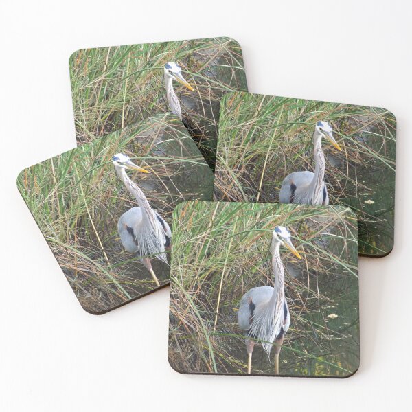 Item preview, Great Blue Heron (Ardea herodias) in a Estuary 2 designed and sold by Inuyasha907.