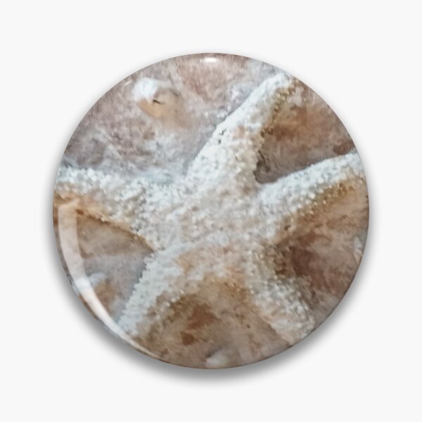 Item preview, Starfish designed and sold by Julie Oliver.