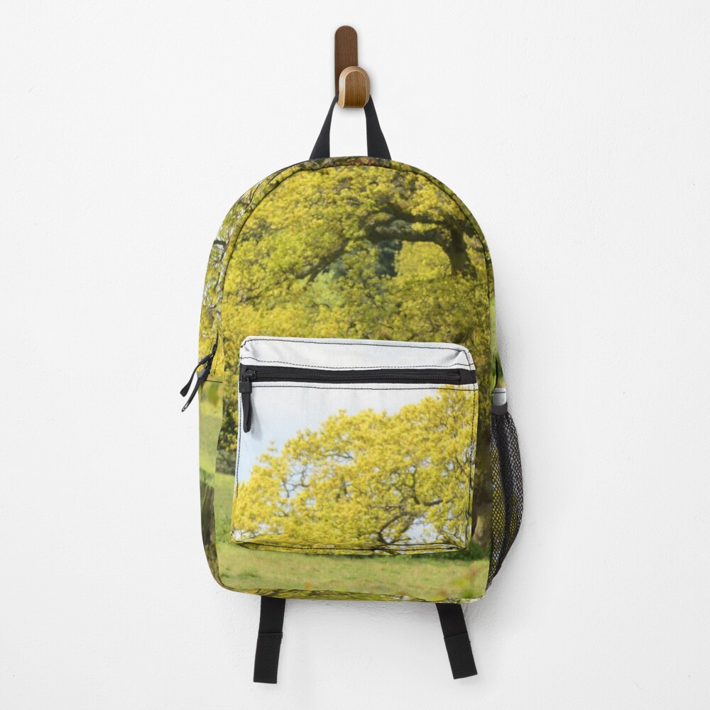 Item preview, Backpack designed and sold by afriedlander.