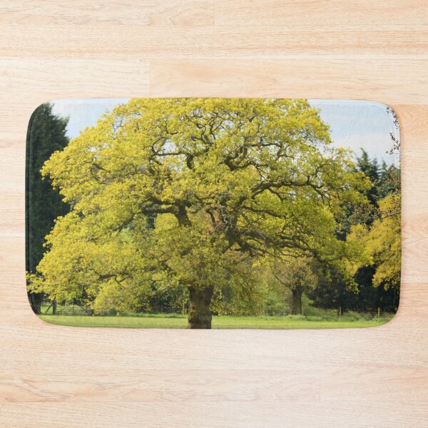 Item preview, Tree designed and sold by Allan P Friedlander.