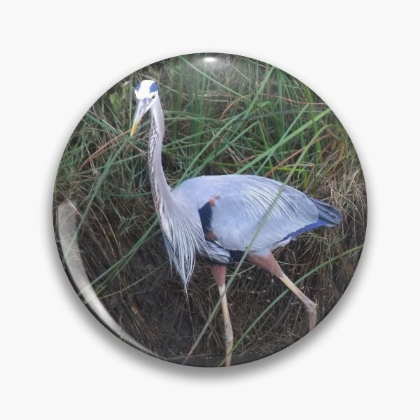 Item preview, Great Blue Heron (Ardea herodias) in a Estuary 6 designed and sold by Inuyasha907.