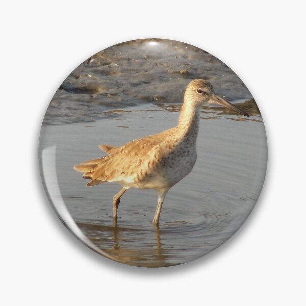 Item preview, Willet (Tringa semipalmata) designed and sold by Inuyasha907.
