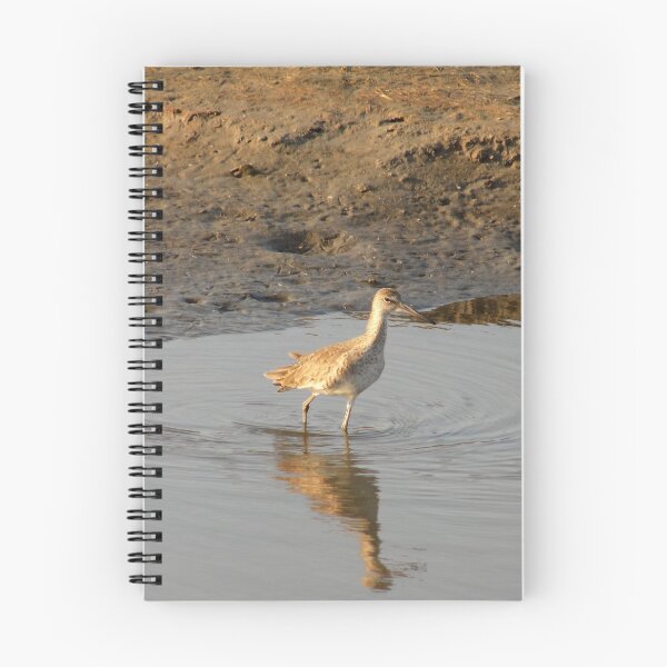 Item preview, Willet (Tringa semipalmata) designed and sold by Inuyasha907.