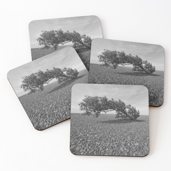 Item preview, Mangrove on the Flat designed and sold by photosbymia.