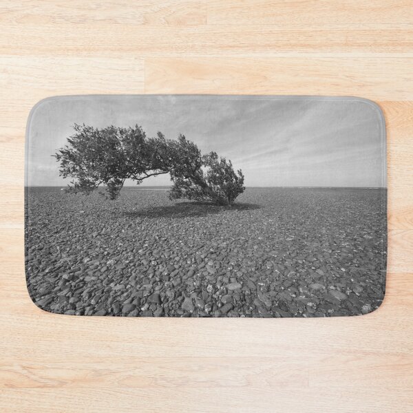 Item preview, Mangrove on the Flat designed and sold by photosbymia.