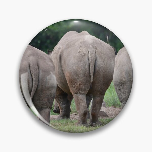 Item preview, Rhino Bums... designed and sold by photosbymia.