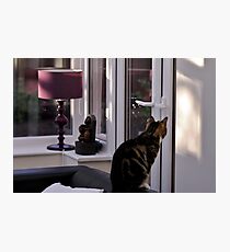 The Very Long Wait Photographic Print