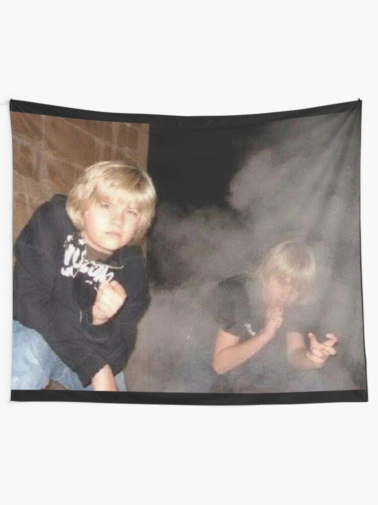 "Zack and Cody" Tapestry for Sale by yuhhbruhh Redbubble
