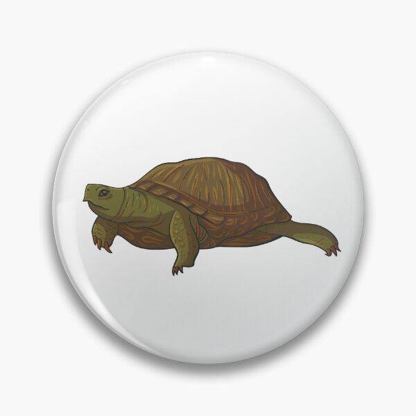 Item preview, Box Turtle designed and sold by tyler-max.