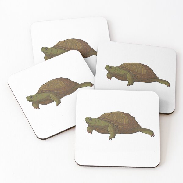 Item preview, Box Turtle designed and sold by tyler-max.