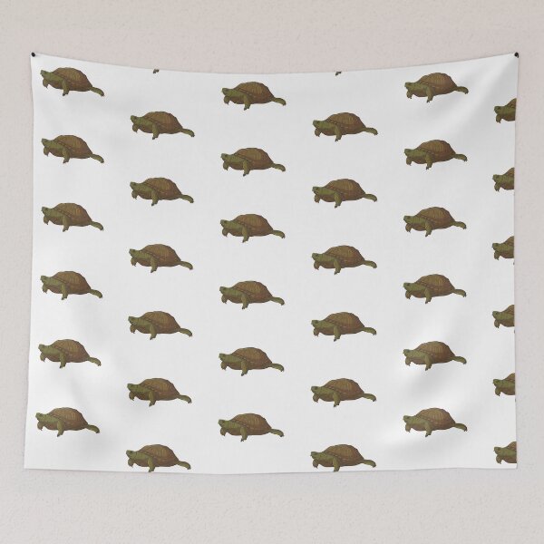 Item preview, Box Turtle designed and sold by tyler-max.