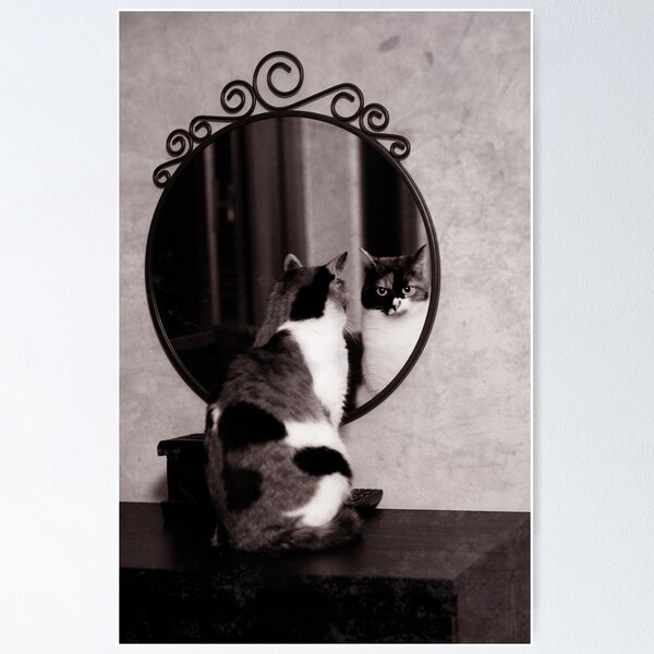 Item preview, Looking from the mirror designed and sold by Laura Melis Photography.