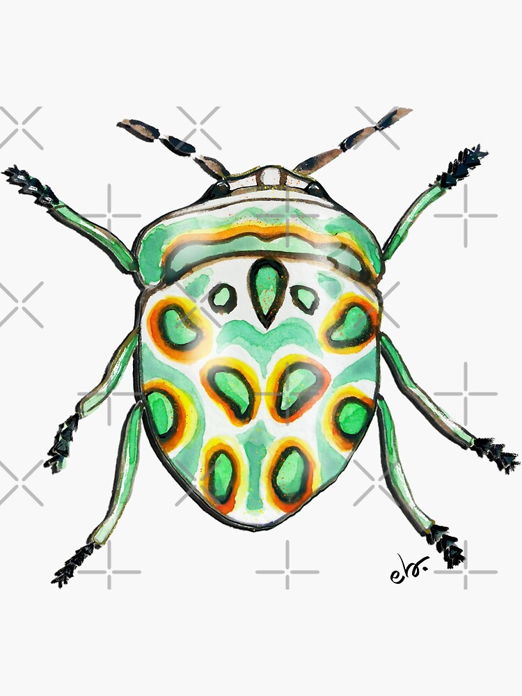 Picasso bug_watercolor by ebozzastudio