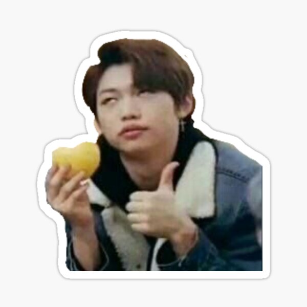 Stray kids мемы