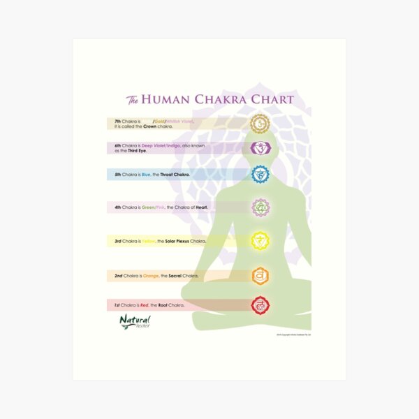 Item preview, 7 Main Chakras Chart designed and sold by Natural Healer.