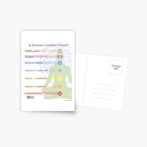 7 Main Chakras Chart Postcard