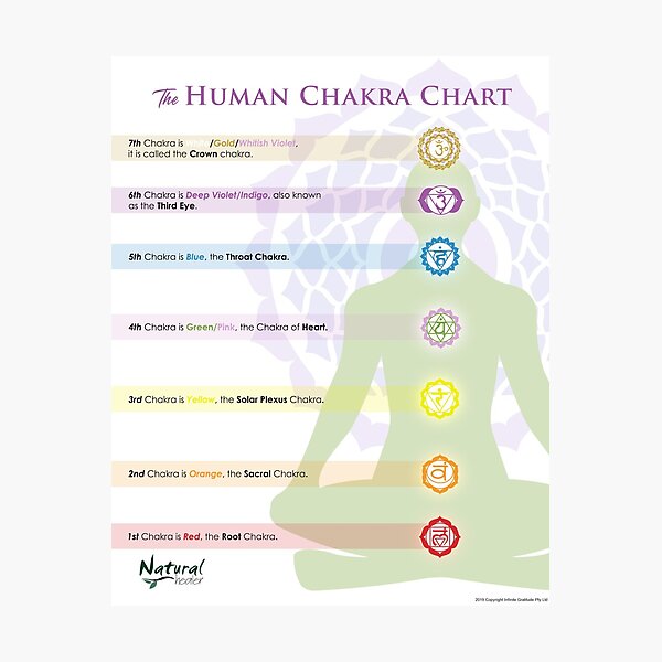 Item preview, 7 Main Chakras Chart designed and sold by Natural Healer.