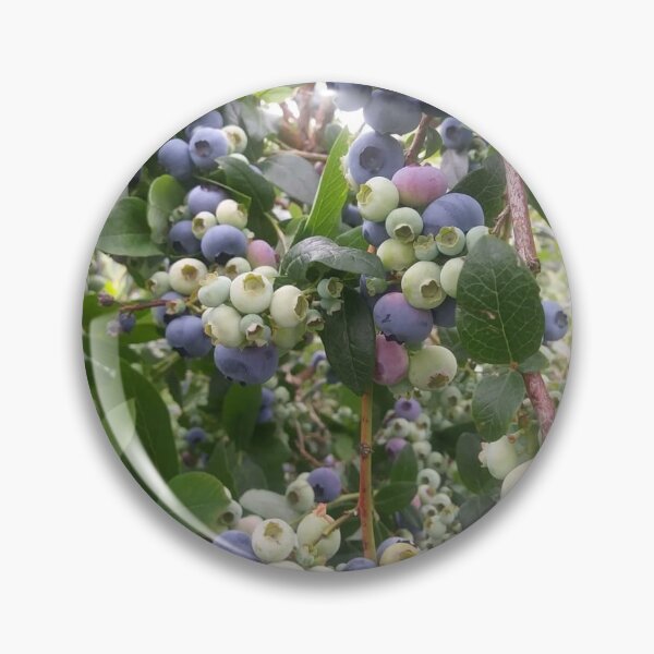 Item preview, Blueberry Magic designed and sold by soulestial.