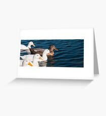 geese Greeting Card