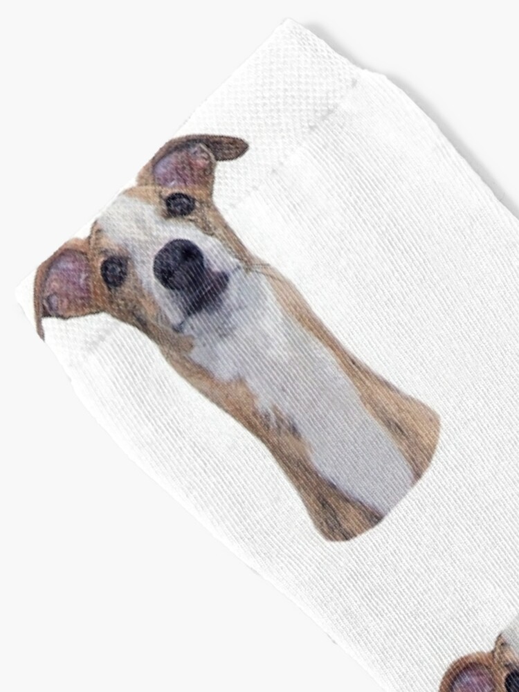 Greyhound dog outlet socks