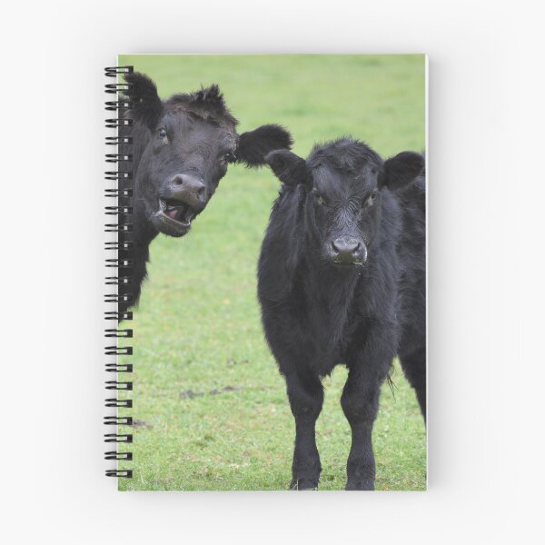 Item preview, BOMBA DE FOTO DE LA VACA ANGUS designed and sold by Ally Peter.