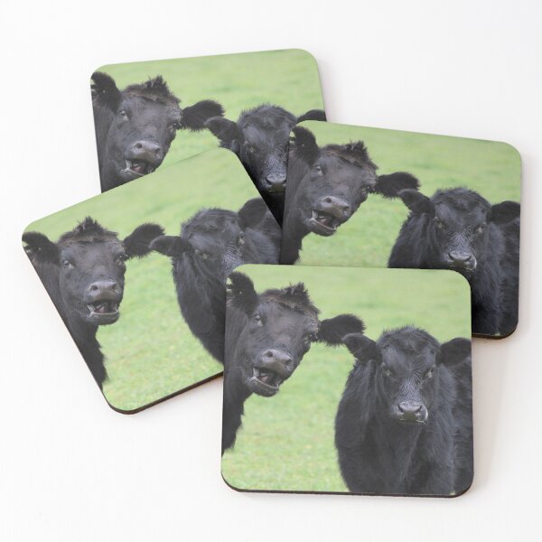 Item preview, ANGUS COW PHOTO BOMB designed and sold by Ally Peter.