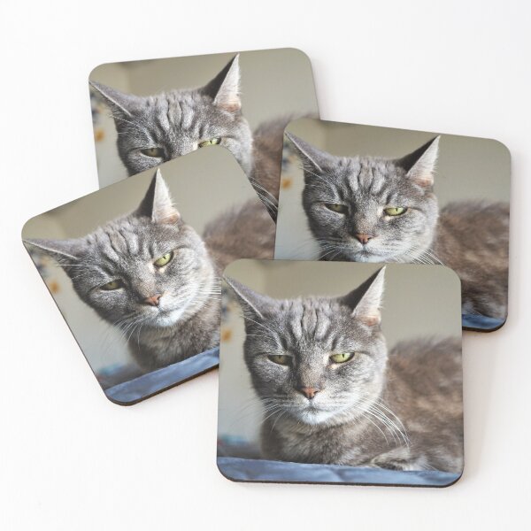 Item preview, Unimpressed Grey Cat designed and sold by MelRazor.