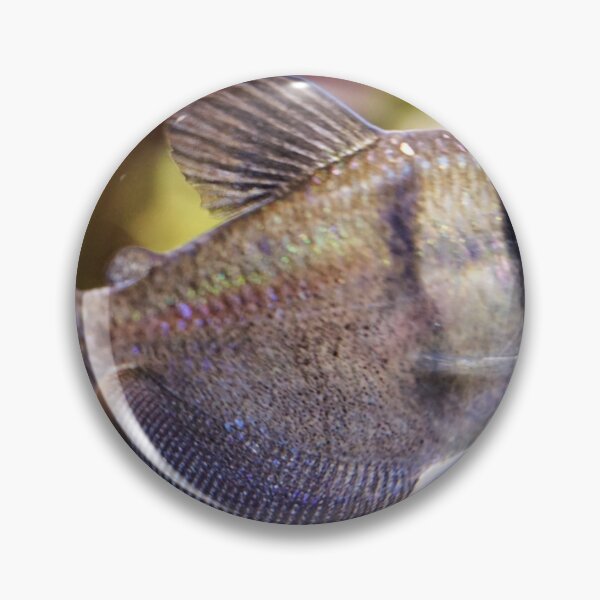 Artikelvorschau, Tetra-Fisch der schwarzen Witwe entworfen und verkauft von MelRazor.