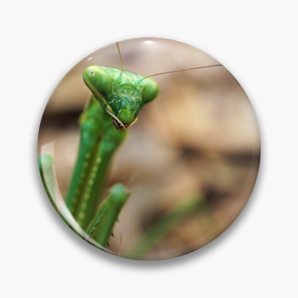 Artikelvorschau, Herr Mantis entworfen und verkauft von MelRazor.