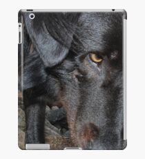 Vinilo o funda para iPad Black Dog