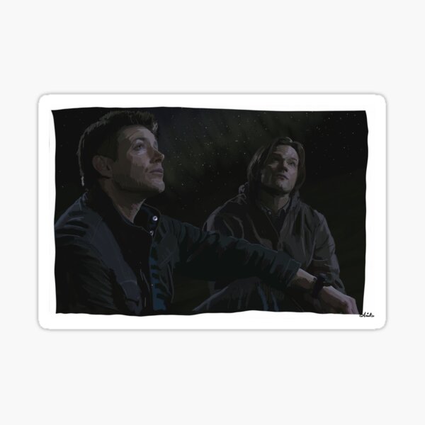 Road Trip with My Brother- Stargazing Sticker