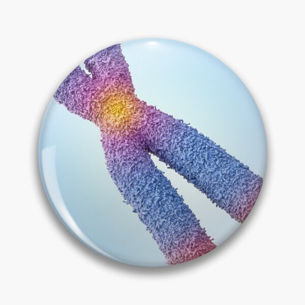 Item preview, Chromosome designed and sold by MDeAngelis.
