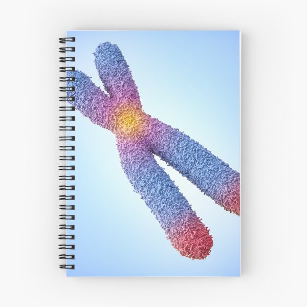 Item preview, Chromosome designed and sold by MDeAngelis.