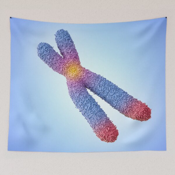 Item preview, Chromosome designed and sold by MDeAngelis.