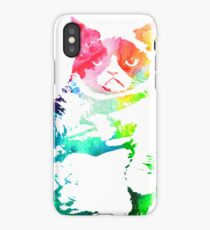 grumpy cat iPhone Case/Skin