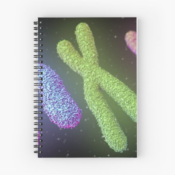 Item preview, Chromosome designed and sold by MDeAngelis.