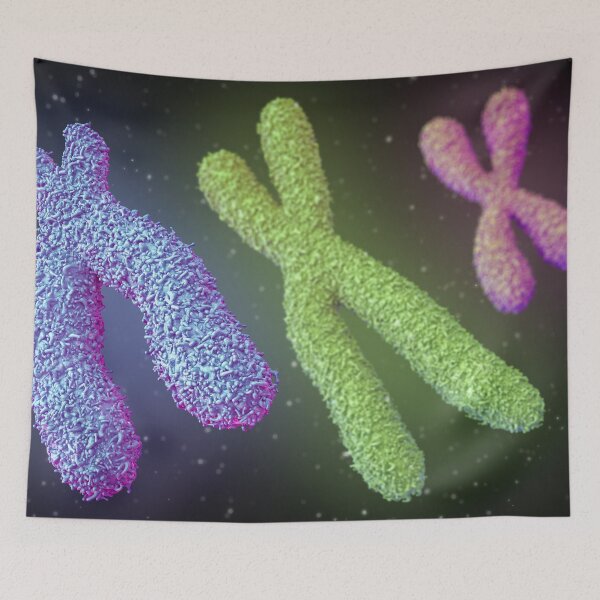 Item preview, Chromosome designed and sold by MDeAngelis.