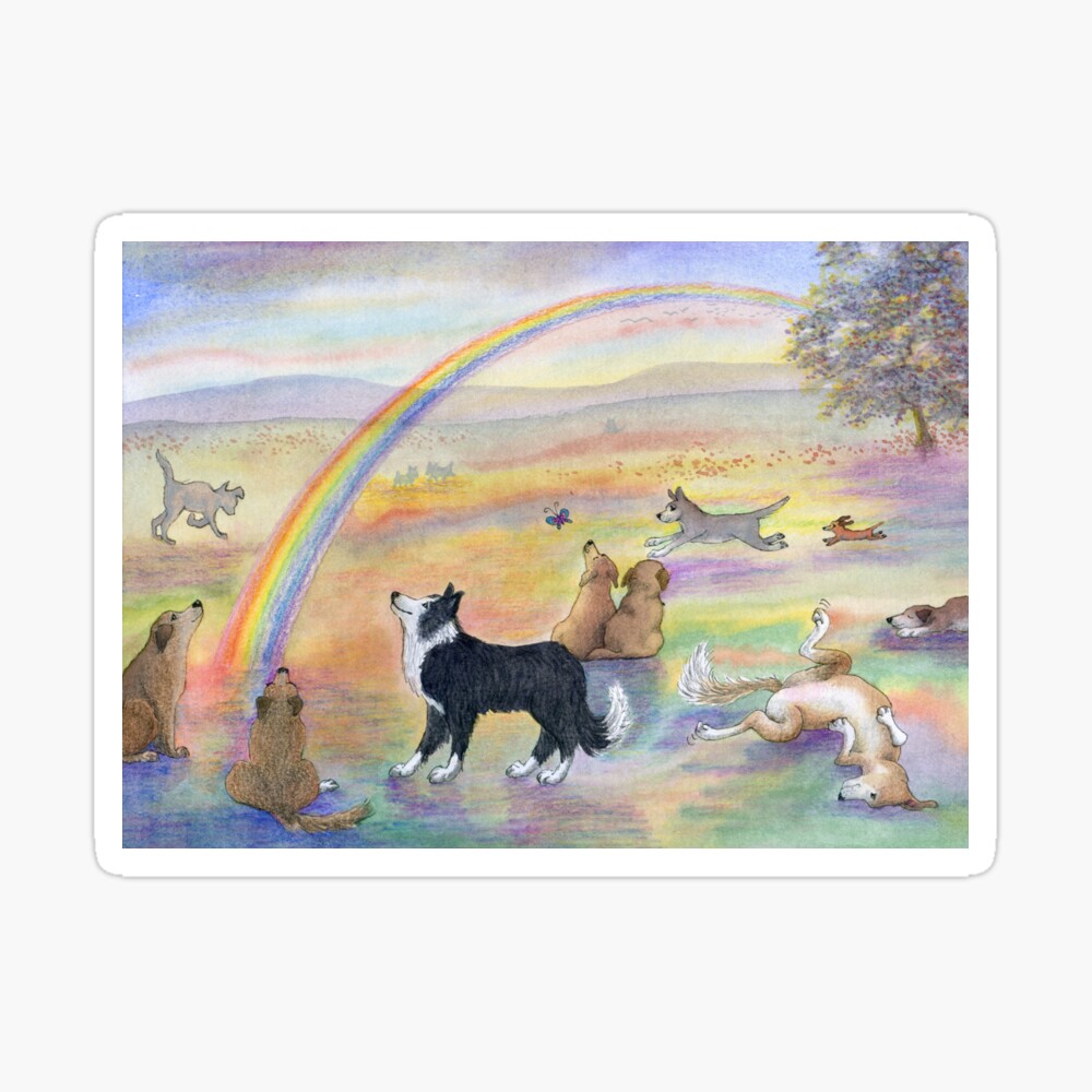 Hunde Warten An Der Regenbogenbrucke Auf Ihre Menschen Grusskarte Von Susanalisonart Redbubble