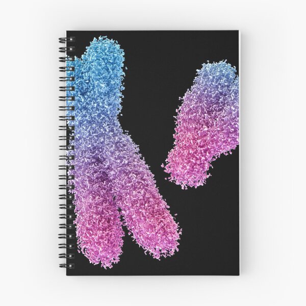 Item preview, Chromosome designed and sold by MDeAngelis.