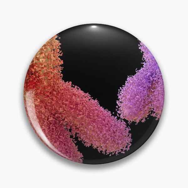 Item preview, Chromosome designed and sold by MDeAngelis.