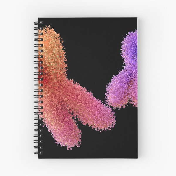 Item preview, Chromosome designed and sold by MDeAngelis.