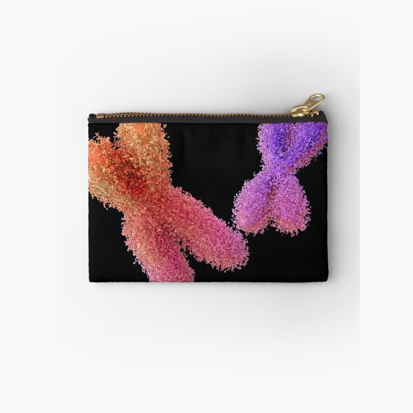 Item preview, Chromosome designed and sold by MDeAngelis.