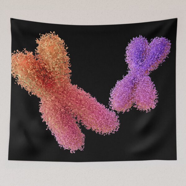Item preview, Chromosome designed and sold by MDeAngelis.