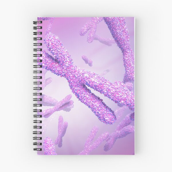 Item preview, Chromosome designed and sold by MDeAngelis.