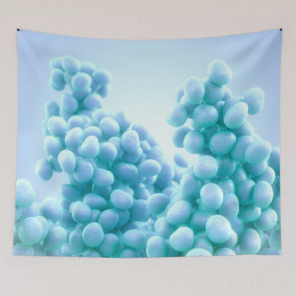 Item preview, Las bacterias designed and sold by MDeAngelis.