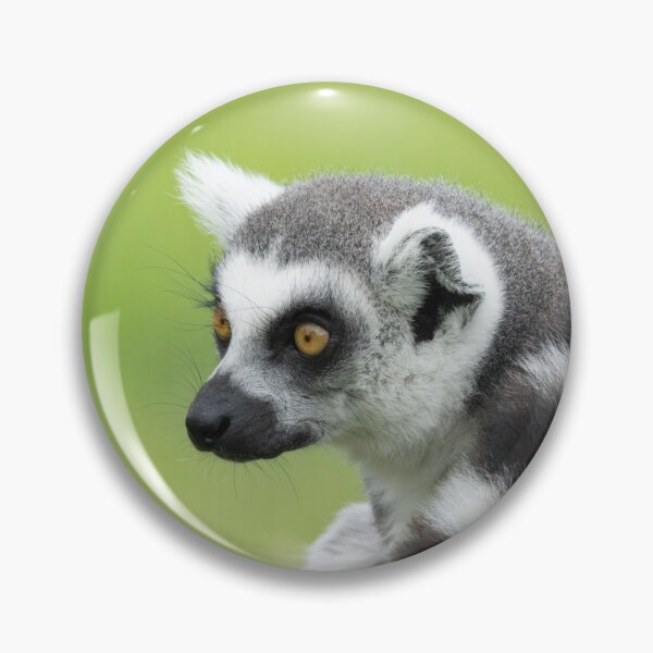 Item preview, Lemur On A Log designed and sold by rawshutterbug.