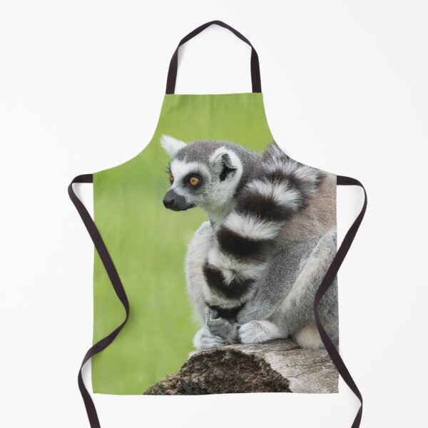 Item preview, Lemur On A Log designed and sold by rawshutterbug.