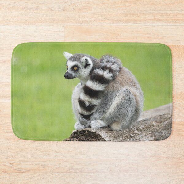 Item preview, Lemur On A Log designed and sold by rawshutterbug.