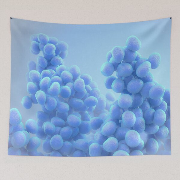 Item preview, Bacteria designed and sold by MDeAngelis.